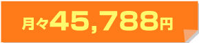 月々45,788円
